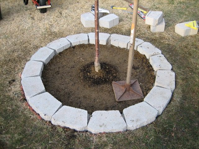 Cure, then backfill: How To Build a Retaining Wall Around a Tree on a Slope