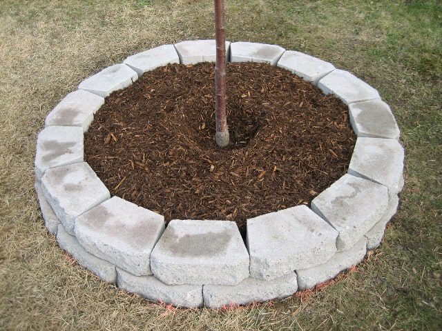 Include a further stone layer: How To Build a Retaining Wall Around a Tree on a Slope